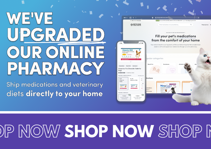 Carousel Slide 5: Order from our new online pharmacy!
