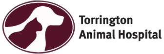 Link to Homepage of Torrington Animal Hospital